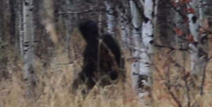 O caçador encontrou um yeti na floresta