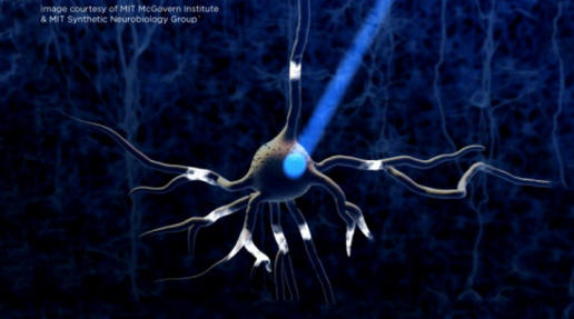 optogenética-neurônio-640x353