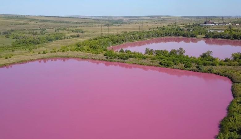 Lagos perto de Samara de repente ficaram rosados