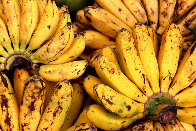 Bananas maduras demais podem ser perigosas - disseram os médicos