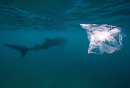 Resíduos de plástico amortecem os oceanos