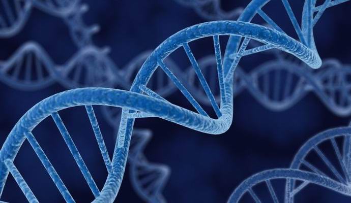 Metade dos homens europeus são descendentes de um monarca
