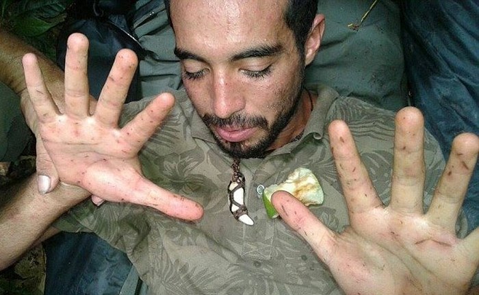 Perdido na selva ou em dimensão paralela?