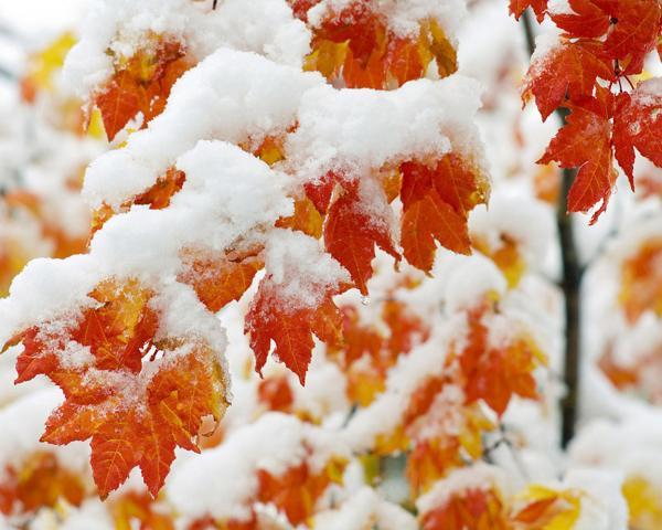 alfândega 13 de novembro 