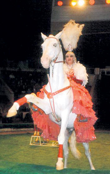 O fantasma de um cavalo no circo Yaroslavl