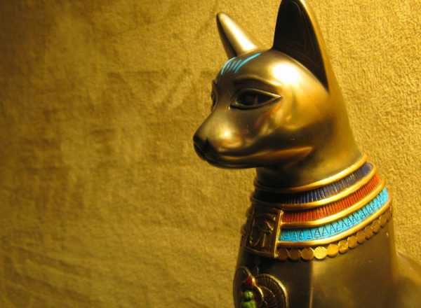 Símbolo de gato 