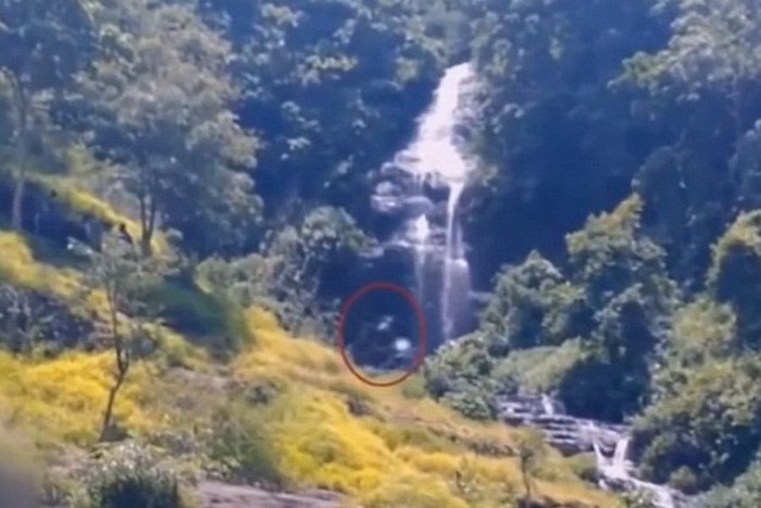 Pé grande na selva indonésia