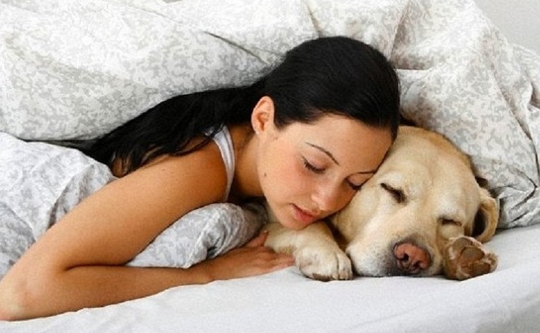 O cachorro o ajudará a dormir profundamente
