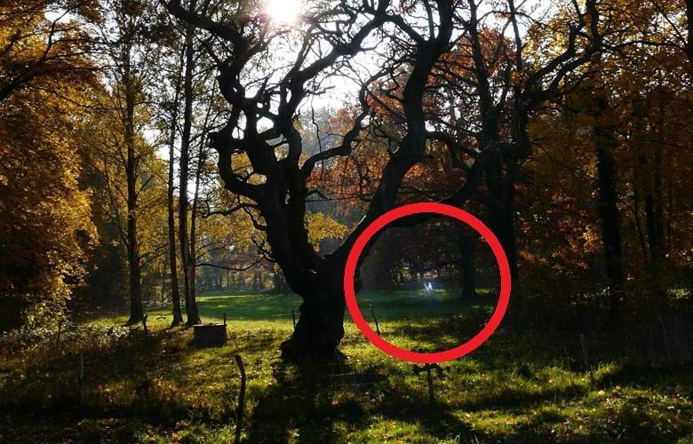 Fantasmas brilhantes de crianças brincando no parque