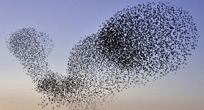 Dançar nuvens vivas é um murmúrio