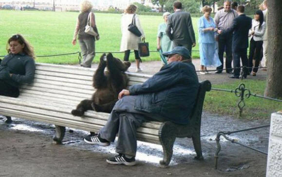 Apenas na Rússia (38 fotos)