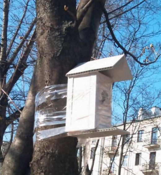 Apenas na Rússia (38 fotos)