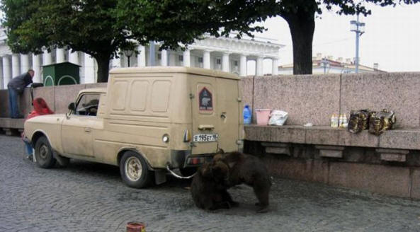 Apenas na Rússia (38 fotos)