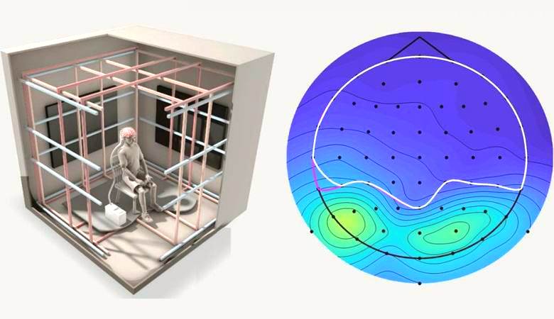 Cientistas encontraram um novo órgão sensorial em humanos