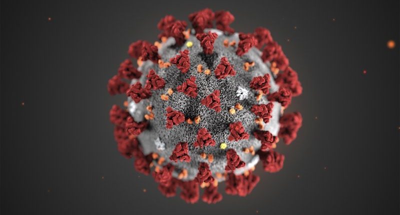 Cientistas alertam: o coronavírus chinês em breve será declarado pandemia 