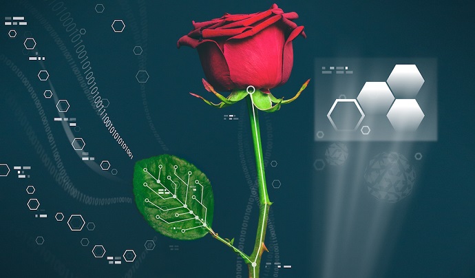 Os cientistas criaram uma flor ciborgue