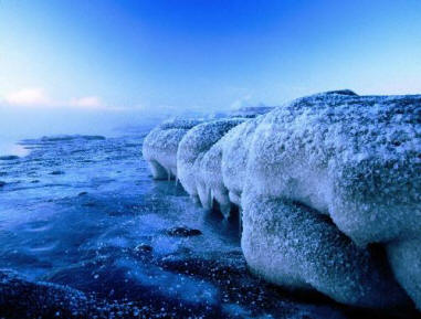 Incrível Antártica