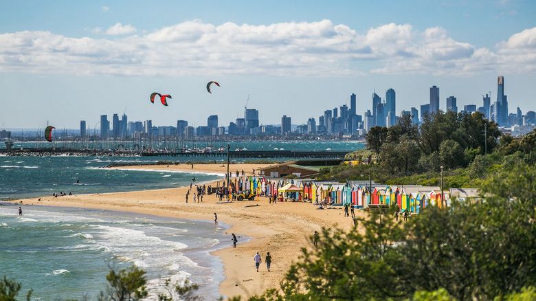 Insetos marinhos predadores apareceram na Austrália - a natação se tornou perigosa