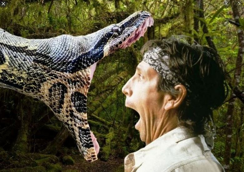 No Brasil, a anaconda atacou um homem, e apenas amigos que chegaram a tempo salvaram os infelizes