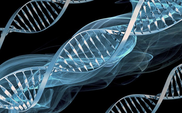 A mensagem está criptografada no DNA humano: verdade ou não, os cientistas descobrem