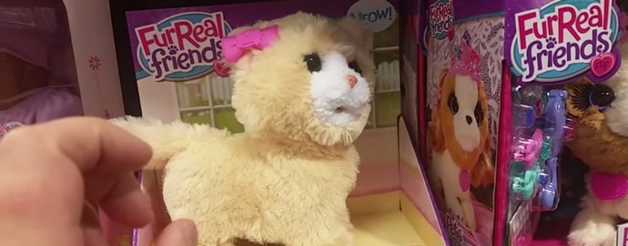 Um demônio infundiu um gatinho de brinquedo?