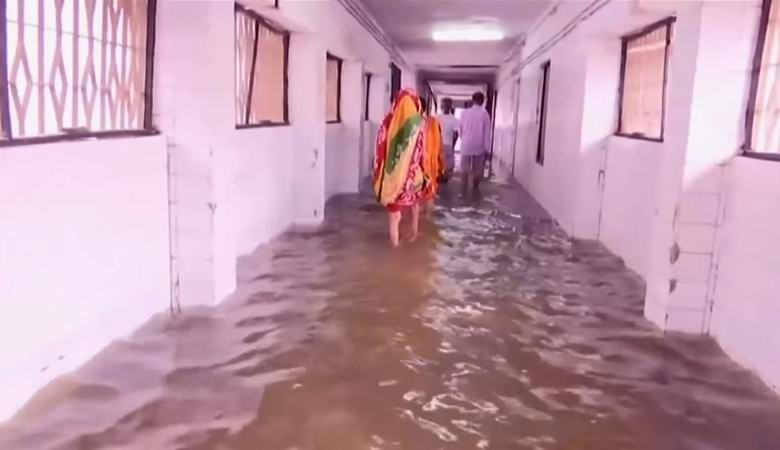 Os peixes nadam em um hospital indiano