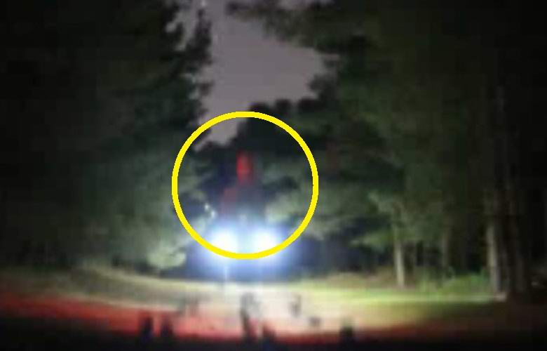 Um imenso alienígena foi fotografado na floresta de Randlesham