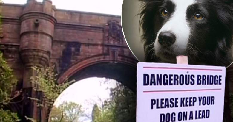 Existe uma ponte misteriosa na Escócia, onde os cães morrem