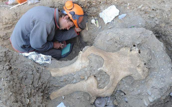 Nos Estados Unidos desenterraram uma caveira misteriosa