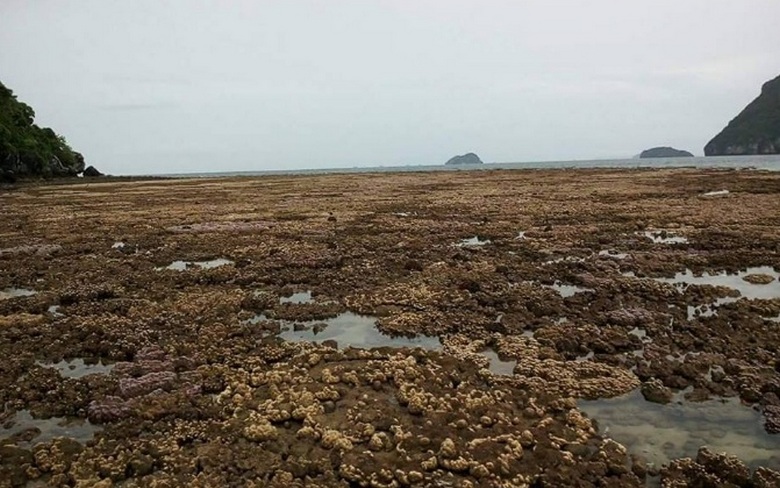 Na Tailândia, o mar deixou as margens do Golfo da Tailândia