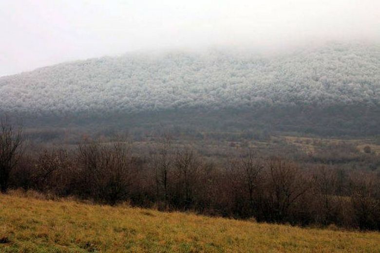 Na Hungria, registrou um fenômeno natural único -
