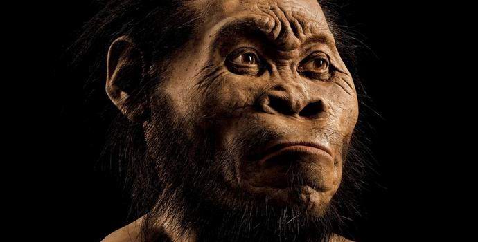 Na África do Sul, encontrou uma nova espécie de homem primitivo