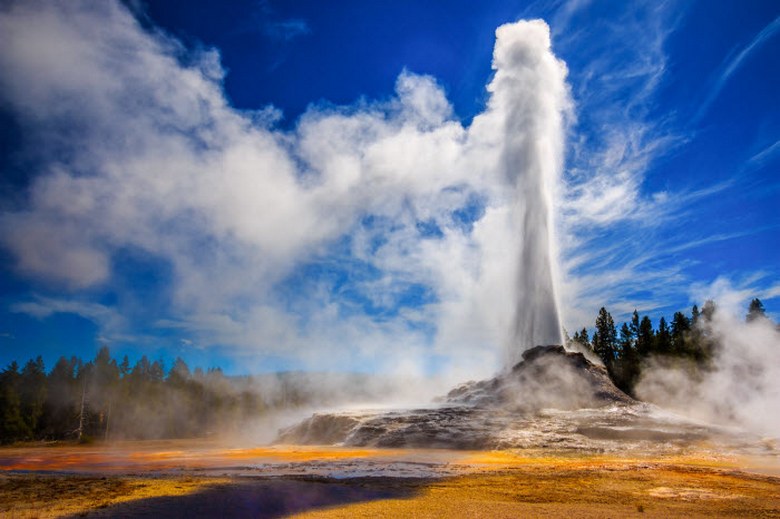 As webcams de Yellowstone Park transmitem eventos misteriosos