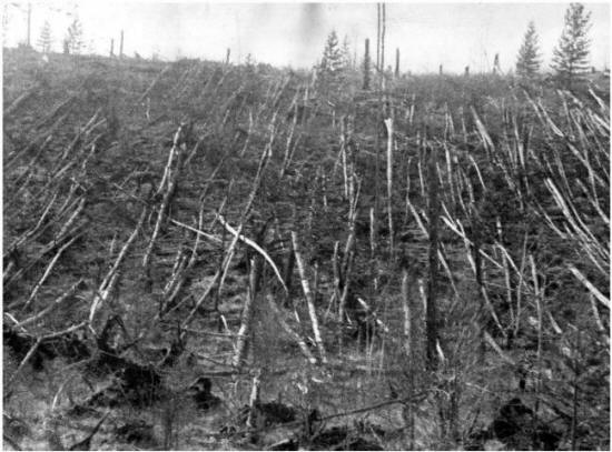 Versões: A explosão de Tunguska - o prenúncio de um desastre global