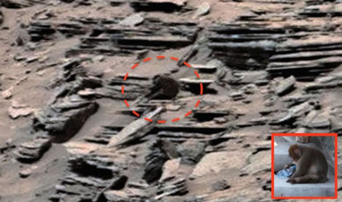 Os arqueólogos virtuais em Marte encontraram um macaco?