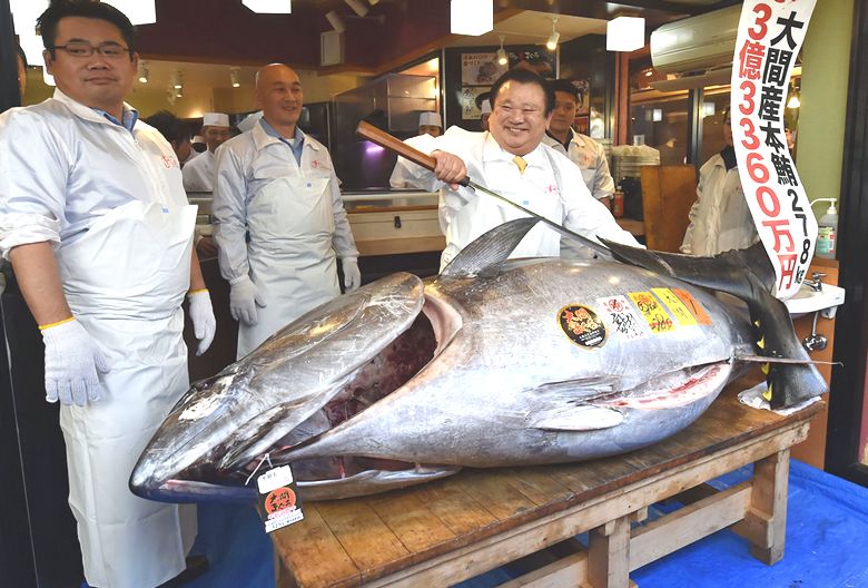 Japoneses pagaram mais de US $ 3 milhões por atum gigante