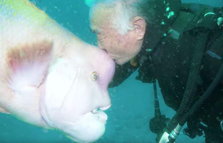 Pensionista japonês 30 anos amigo de um monstro das profundezas