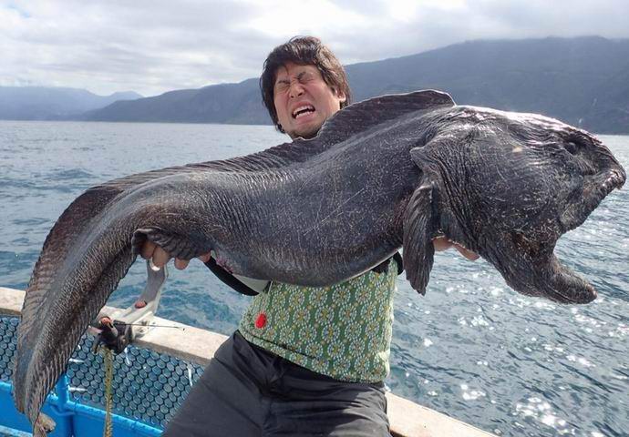 Pescador japonês pegou um monstro assustador