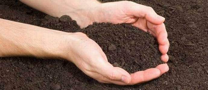 Por que alienígenas roubam solo de terráqueos