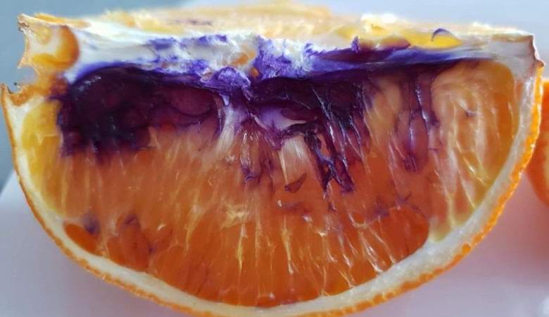 O enigma de uma laranja cuja carne começou a desmoronar instantaneamente e ficar roxa