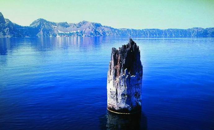 O enigma de um tronco incrível no lago Crater
