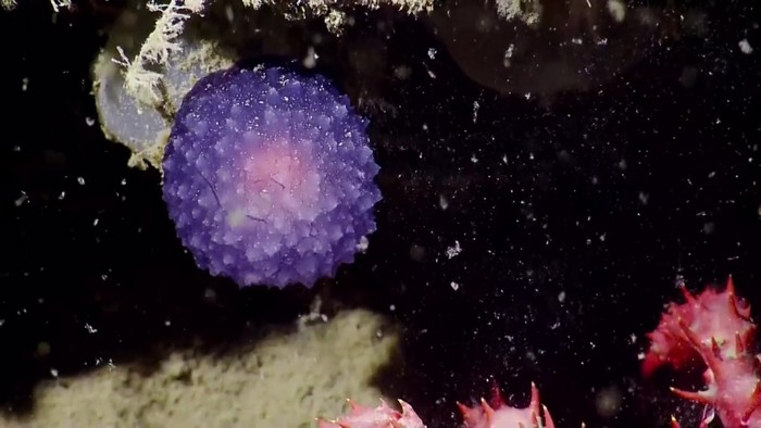 Esfera luminosa misteriosa