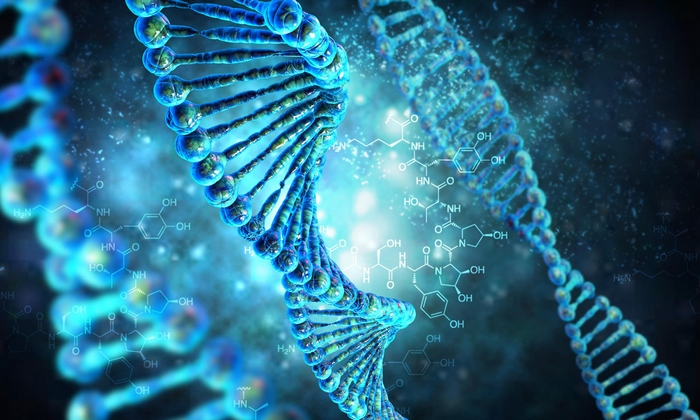 Texto misterioso escondido no DNA humano
