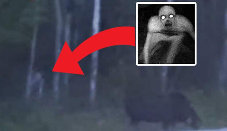 Uma criatura misteriosa rasteja em um vídeo para um alce