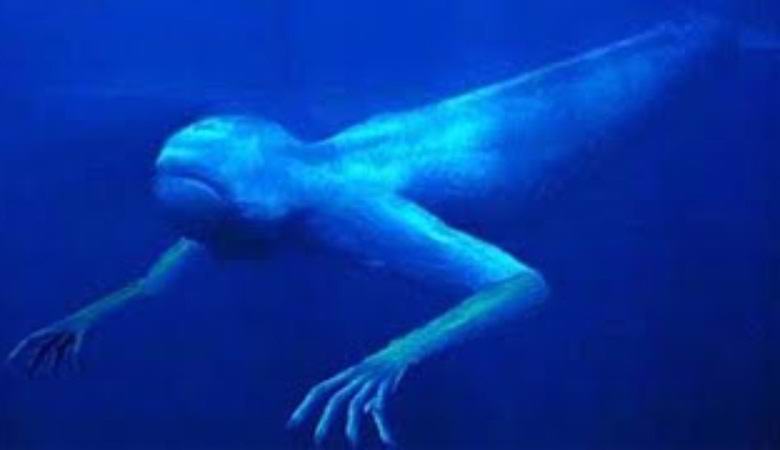 Uma criatura misteriosa perseguiu um barco em Porto Rico