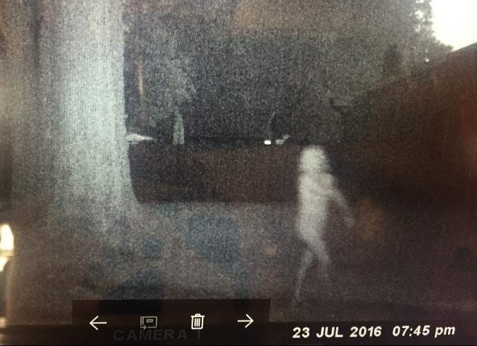 Capturou um fantasma branco no jardim