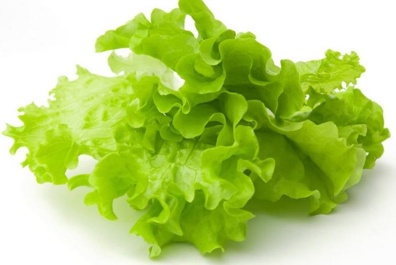 Saladas verdes rejuvenescem o cérebro