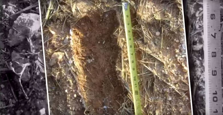 Uma mulher da Carolina do Norte alega ter pés grandes no quintal periodicamente