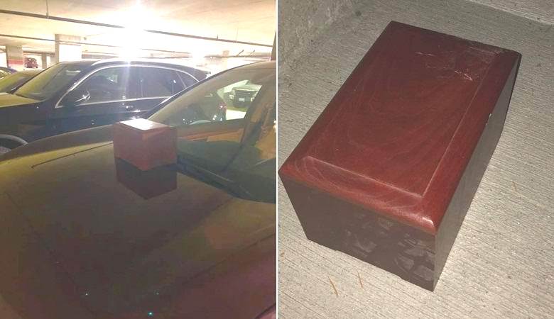 A mulher encontrou uma caixa misteriosa no carro