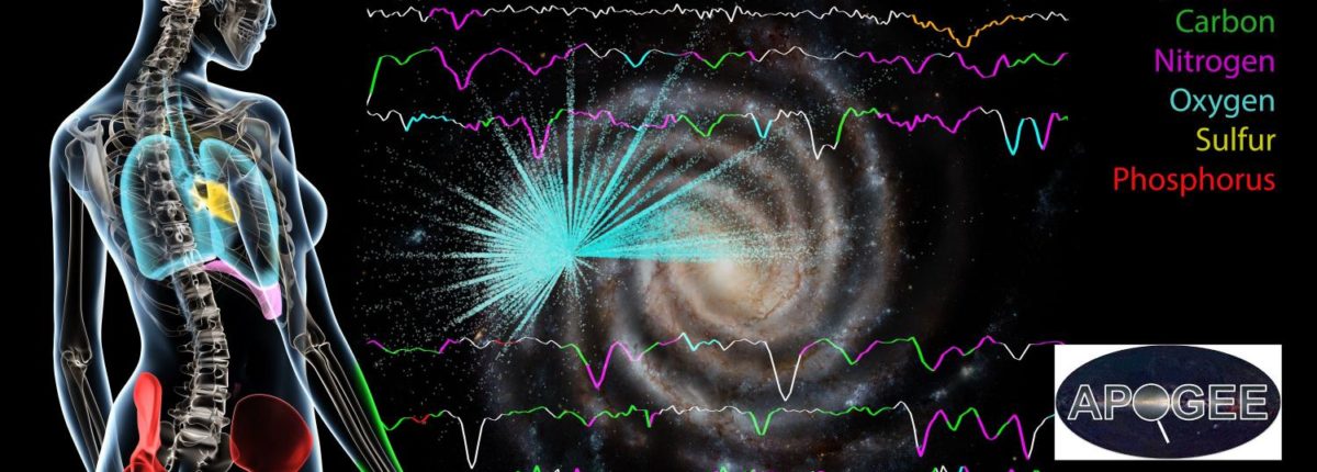 As estrelas da Via Láctea são compostas dos mesmos elementos que os humanos 